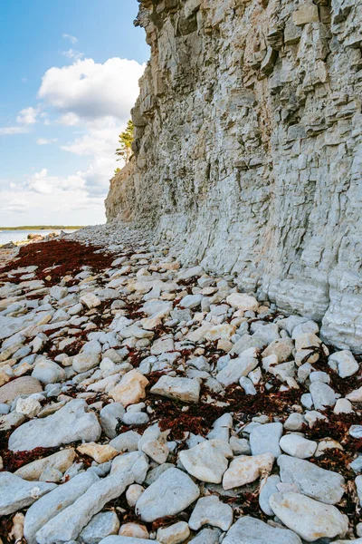 Пэнга Клифф Сааремаа Эстония Солнечный День Самый Высокий Скальный Обнажение — стоковое фото