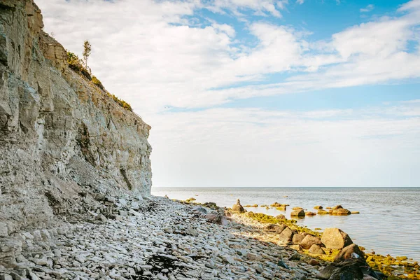 Пэнга Клифф Сааремаа Эстония Солнечный День Самый Высокий Скальный Обнажение — стоковое фото