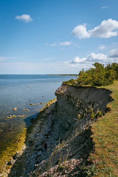 晴れた日には エストニアのサアレマのパンガ崖からバルト海を見下ろすことができます 西エストニアで最も高い岩盤露頭は — ストック写真