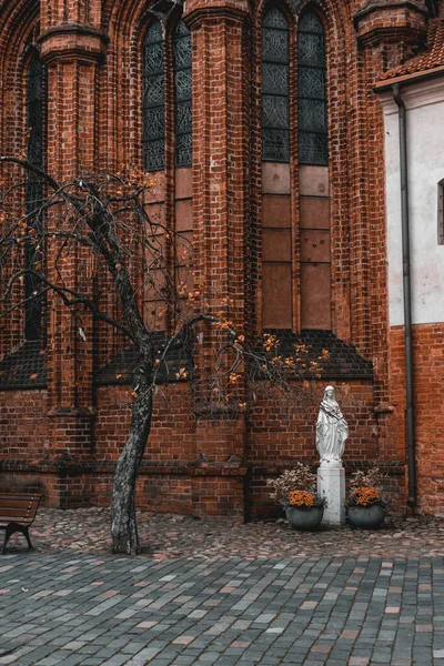 St. Anne Kilisesi 'nin arka bahçesi ve Assisi' li Aziz Francis (Bernardine) Roma Katolik Kilisesi. Güzel mimari