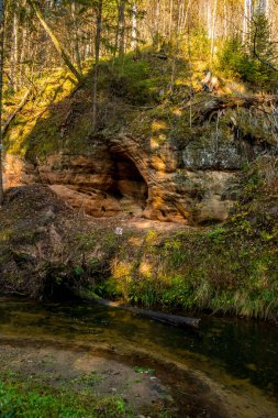Ieriki, Letonya yakınlarındaki Cecili doğa yolunda güneşli bir sonbahar gününde Amata nehri kenarındaki güzel orman ve uçurumlar