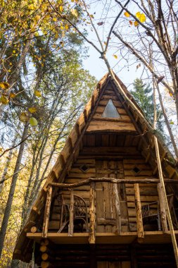 Renkli ve güneşli bir sonbahar gününde ormanın ortasında sihirli ahşap bir masal evi.