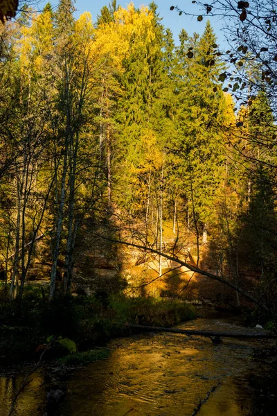 Hermoso Bosque Acantilados Junto Río Amata Durante Soleado Día Otoño — Foto de Stock