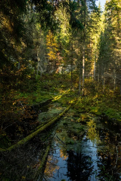 Prachtig Bos Kliffen Bij Amata Rivier Tijdens Zonnige Herfstdag Cecili — Stockfoto