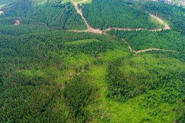 Yazın Ukrayna Karpatları 'nda dinlenirken bir geceliğine dağın tepesindeki çadırda kalıyorlar.