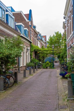 Haarlem, Hollanda - Mart 2022 Haarlem 'de küçük yeşil bir cadde. Toplumsal kapsama ve iklim değişikliğini hesaba katın. Sokak manzaralı genel mimari Haarlem tipik Hollanda tarzı binalar.