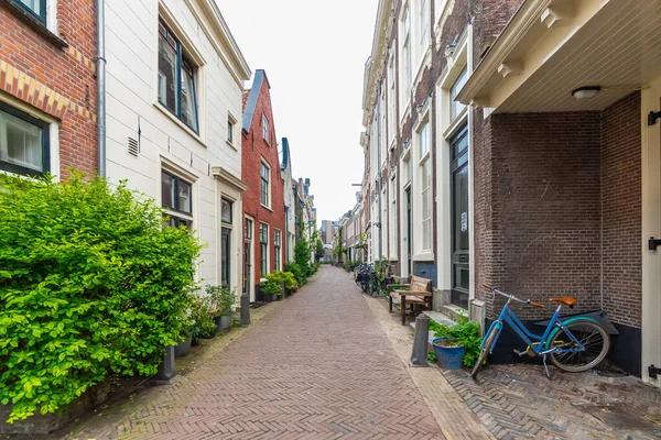 Haarlem, Hollanda, Mart 2022: Hollanda 'da Haarlem' de konforlu şehir evi, önünde bir sürü kap, bitki ve sandalye var. Kavram: Şehir sıcaklığı veya su yönetimi denetimi