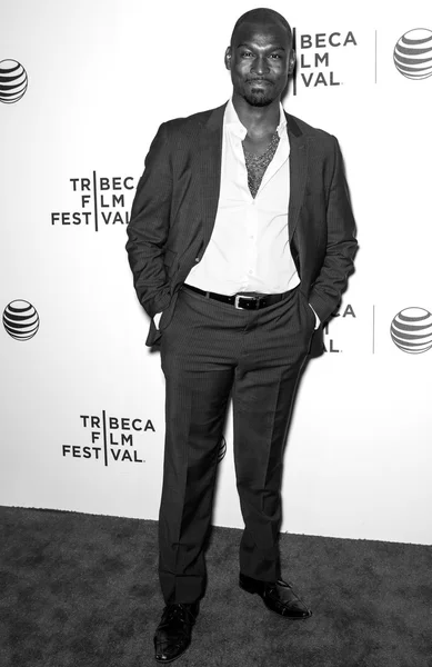 2014 Tribeca Film Festival — Zdjęcie stockowe