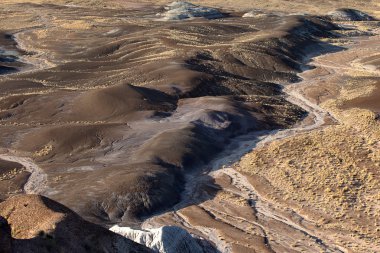 Taşlaşmış Orman Ulusal Parkı, Arizona, ABD