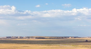 Taşlaşmış Orman Ulusal Parkı, Arizona, ABD