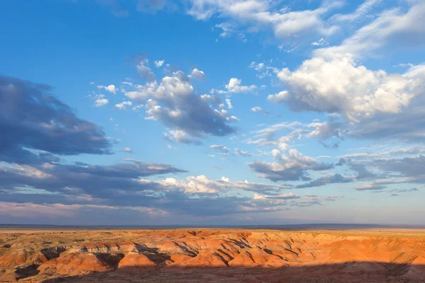 Petrified forest national park, in arizona, usa — Foto Stock