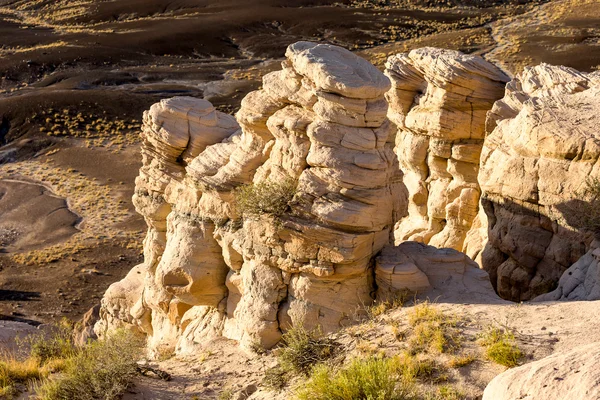 Parcul Național Pădurea Petrificată, Arizona, Statele Unite ale Americii — Fotografie, imagine de stoc