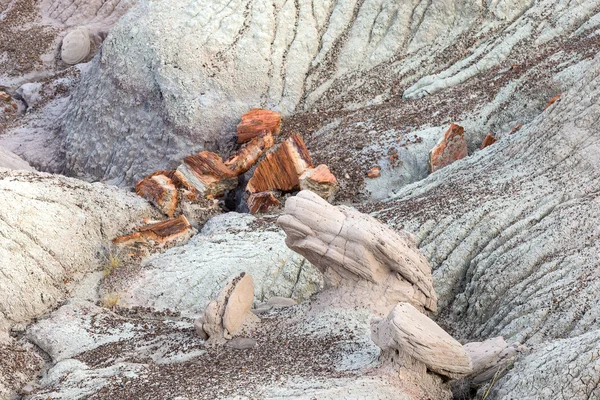 Petrified Forest National Park, Arizona, USA — Stock Photo, Image