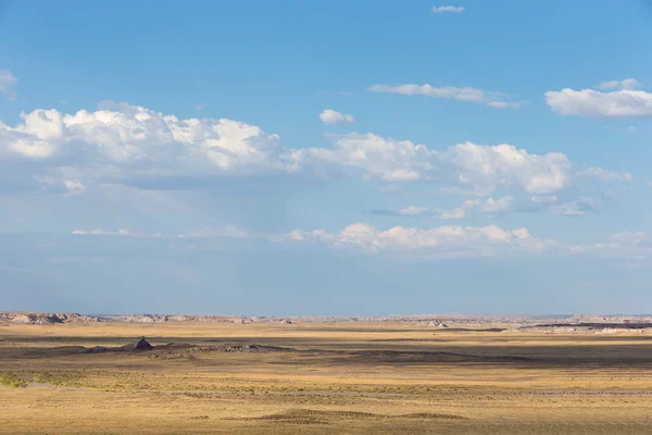 Petrified Forest National Park, Arizona, USA — Stock Photo, Image