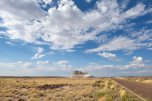 Förstenad skognationalpark, Arizona, Usa — Stockfoto