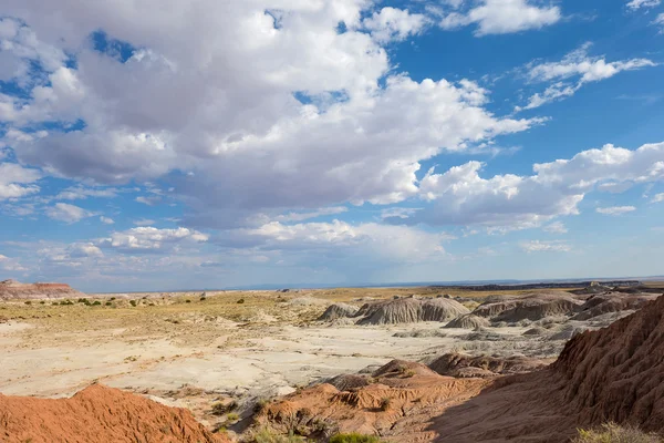 Petrified forest national park, in arizona, usa — Foto Stock