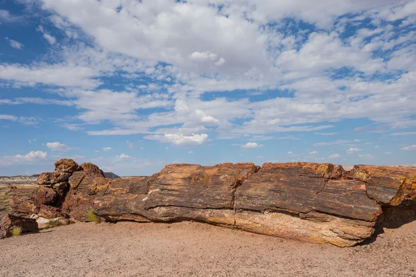 Petrified Forest National Park, Arizona, USA — Stock Photo, Image