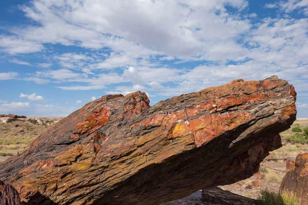 Petrified Forest National Park, Arizona, USA — Stock Photo, Image