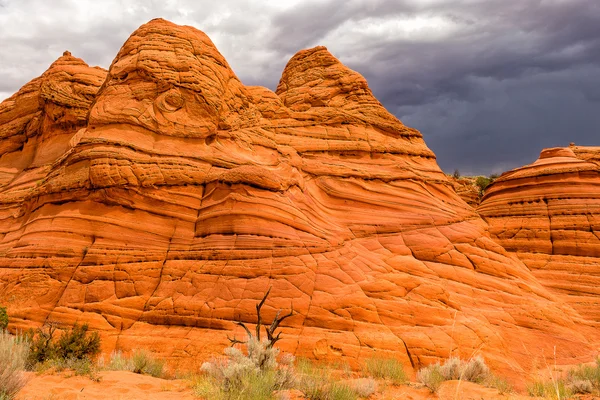 Coyote Buttes South — Stock Photo, Image