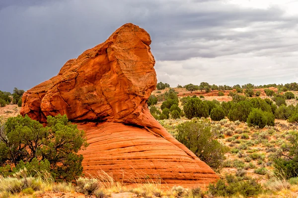 Coyote Buttes Sur — Foto de Stock