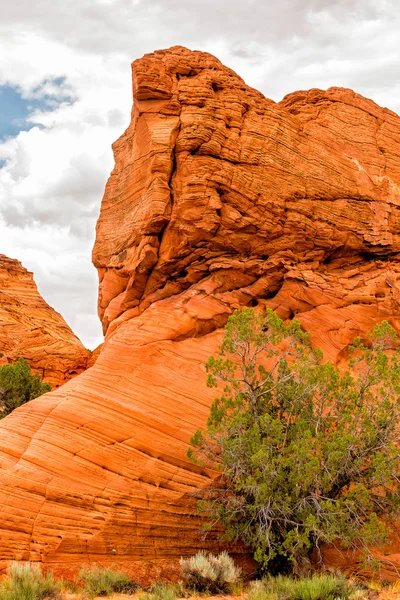 Çakal buttes Güney — Stok fotoğraf