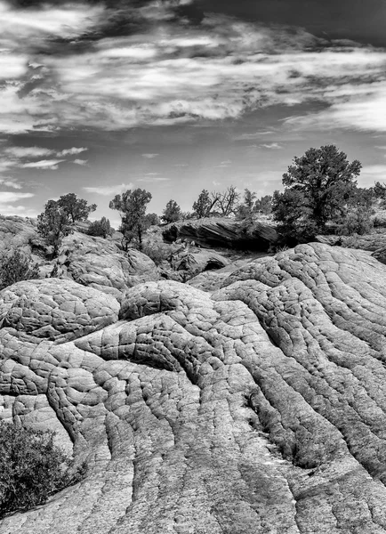 Coyote Buttes South — Stock Photo, Image