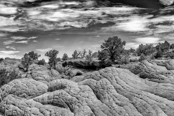 Coyote Buttes South — Stock Photo, Image