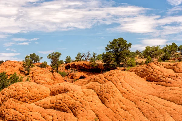 Buttes de coyote Sud — Photo