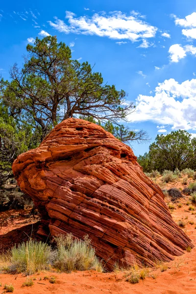 Coyote Buttes syd - Stock-foto