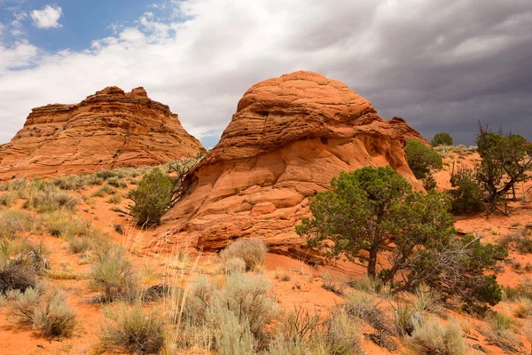 Coyote Buttes syd - Stock-foto