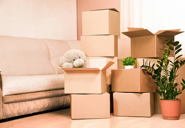 Cardboard Boxes Things Room — Stock Photo, Image