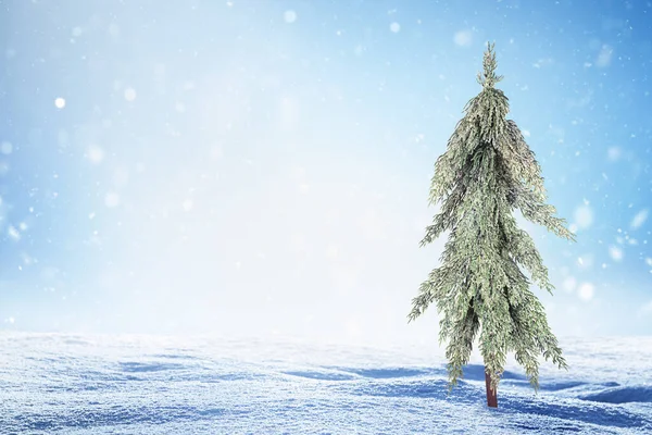 Jedno Drzewo Zaspy Śnieżne Tle Zimy — Zdjęcie stockowe