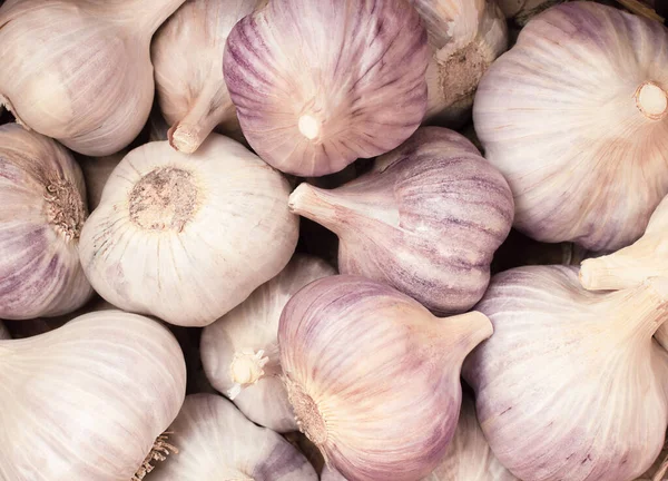 Antecedentes Del Primer Plano Del Ajo Fresco —  Fotos de Stock