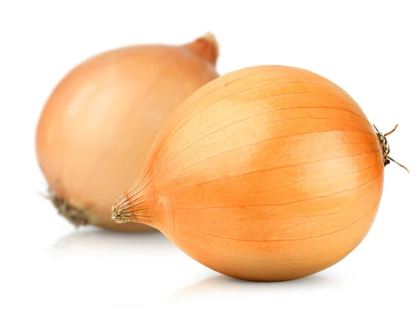 Two Yellow Onions White Isolated Background — Stok fotoğraf