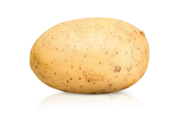 One Potato White Isolated Background — Stock Photo, Image