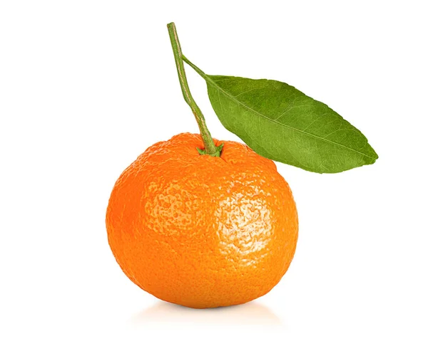 Eine Mandarine Mandarine Auf Weißem Hintergrund lizenzfreie Stockbilder