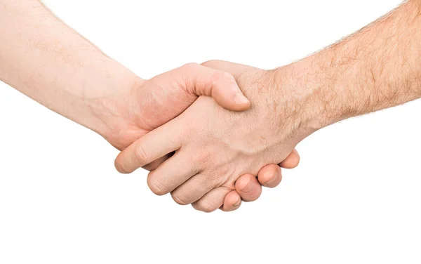两名男子握手 以白色背景隔离 图库照片