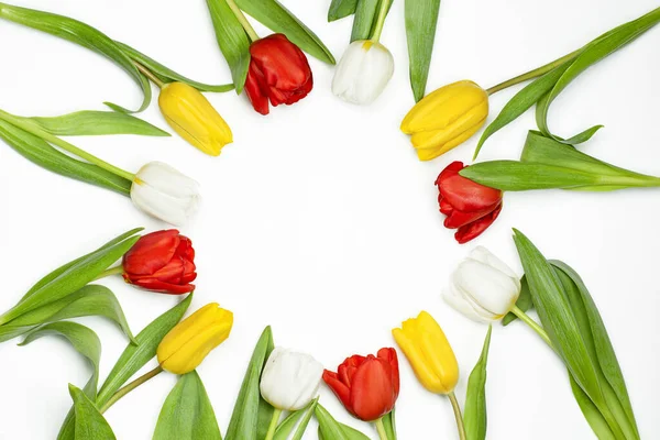 Tulipani Disposti Forma Cerchio Con Spazio Copia — Foto Stock