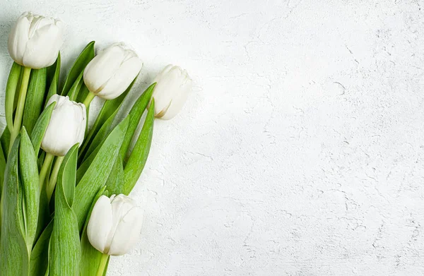 Bouquet Tulipes Blanches Sur Fond Béton Clair — Photo