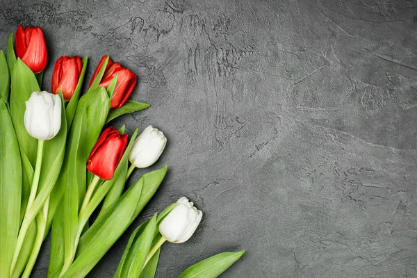 Tulipes Blanches Rouges Sur Fond Béton Foncé — Photo