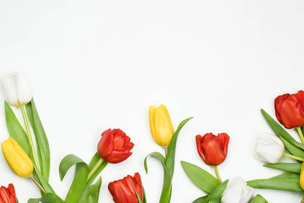 Композиция Пружинных Тюльпанов Светлом Фоне Стоковое Фото