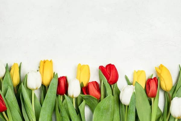 Les Tulipes Sont Disposées Rangée Sur Fond Béton Léger — Photo