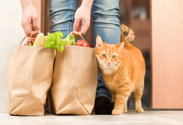 Τζίντζερ Γάτα Συναντά Τον Ιδιοκτήτη Του Τσάντες Ψώνια — Φωτογραφία Αρχείου