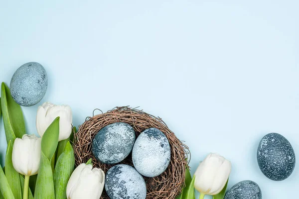 Голубые Пасхальные Яйца Белые Тюльпаны Голубом Фоне Стоковое Фото