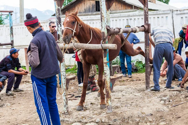 Karakol Kyrgyzstan Circa Junio 2017 Mercado Semanal Animales Dominicales Ciudad — Foto de Stock