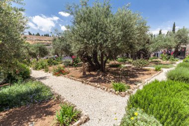 JERUSALEM, ISRAEL - CIRCA MAYIS 2018: Gethsemane 'nin görüntüsü Mayıs 2018' de Kudüs 'te.