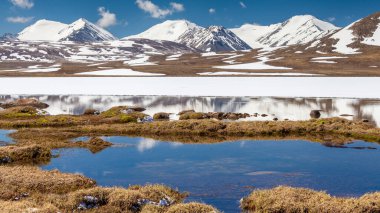 Kırgızistan 'ın Issyk Kul Bölgesinde Barskoon (Arabel) Syrts