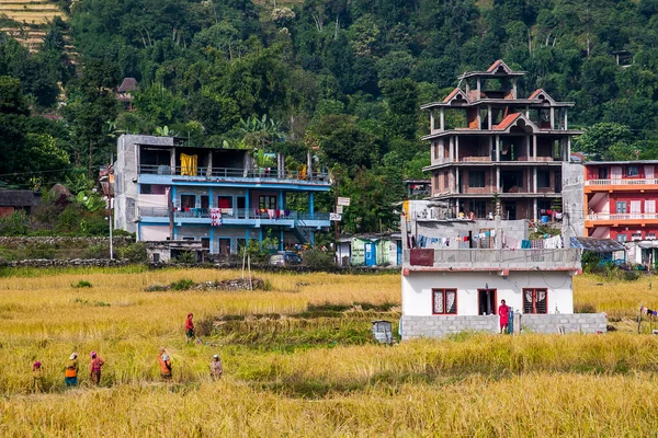 Pokhara Nepal Circa 2013年11月 2013年11月頃のネパール建築の例 — ストック写真