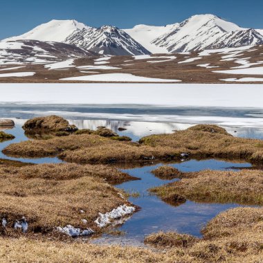 Kırgızistan 'ın Issyk Kul Bölgesinde Barskoon (Arabel) Syrts