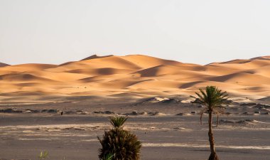 Fas 'tan Erg Chebbi